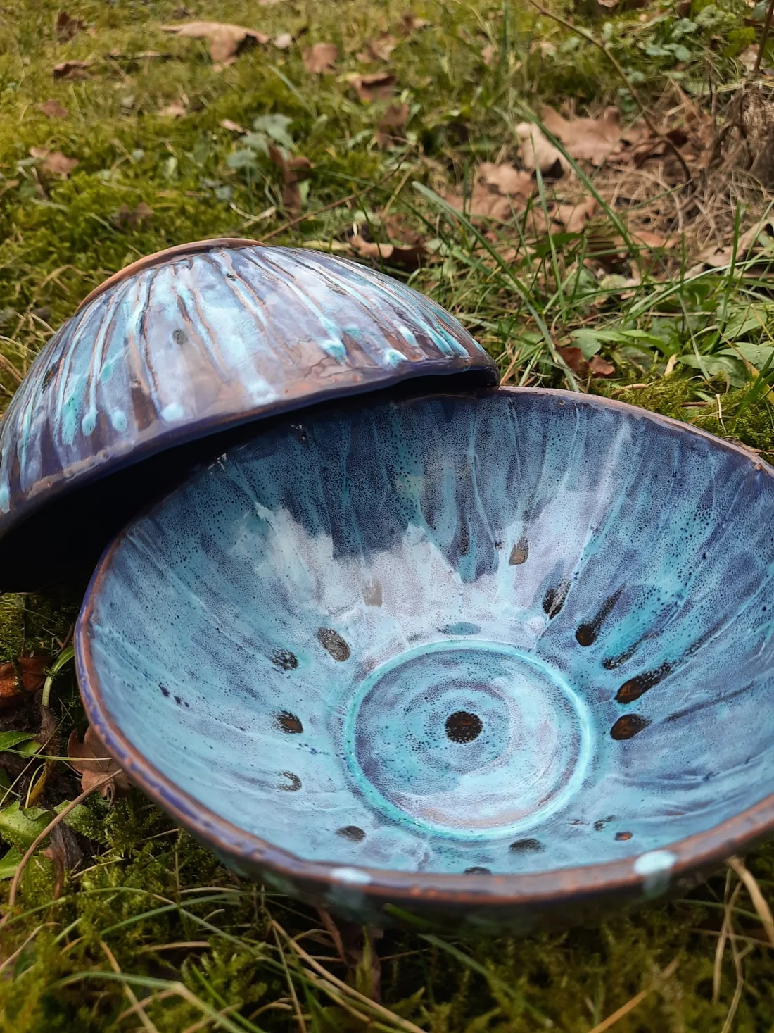 Niebieska ceramiczna misa na leśnym podłożu